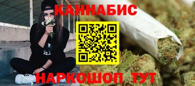 индика Азнакаево