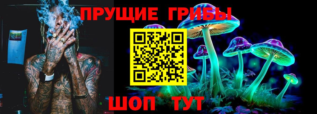 Псилоцибиновые грибы Psilocybe Апатиты